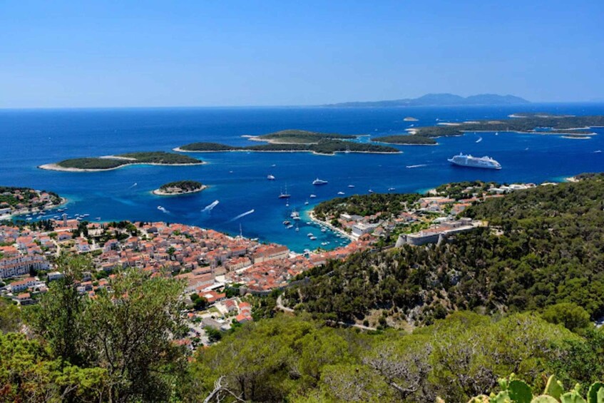 Picture 3 for Activity Hvar: Island tour with Wine and Olive Oil Tasting