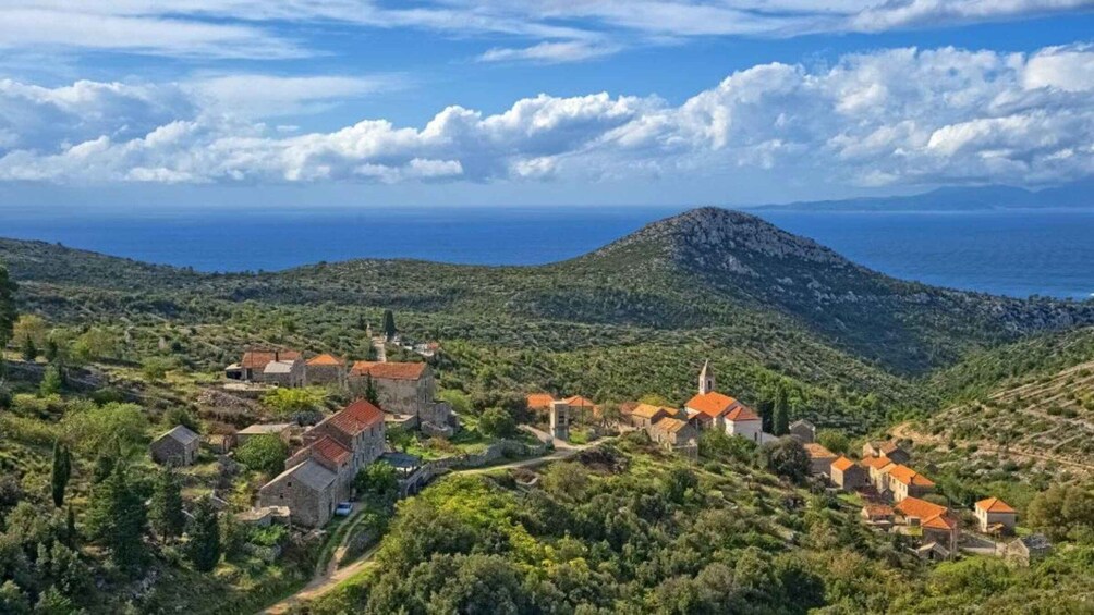 Picture 2 for Activity Hvar: Island tour with Wine and Olive Oil Tasting