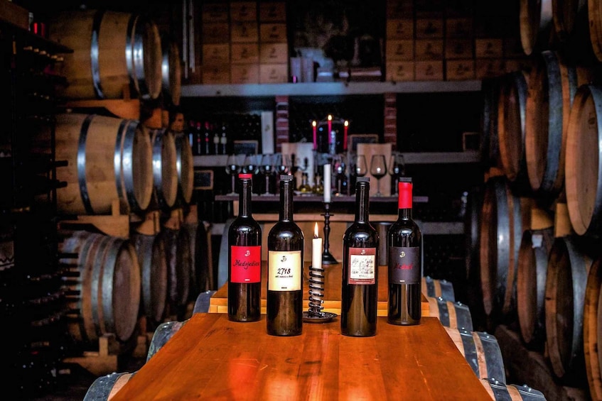 Picture 4 for Activity Hvar: Island tour with Wine and Olive Oil Tasting