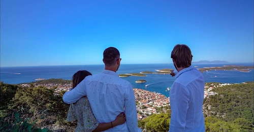 Hvar: Island tour with Wine and Olive Oil Tasting