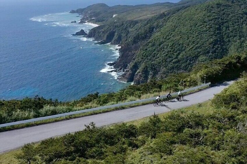 Tokashiki Island Guided Cycling Tour for 3-hours Course