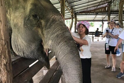 Erawan National Park and Elephant Care Experience in Kanchanaburi