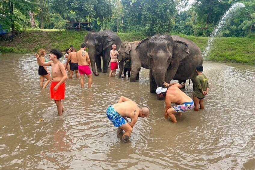 Erawan National Park and Elephant Care Experience in Kanchanaburi