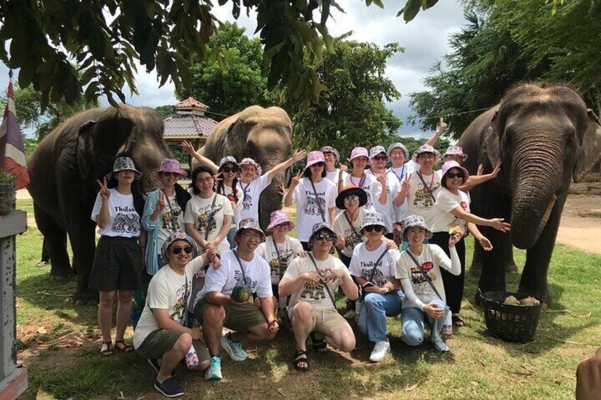 Erawan National Park and Elephant Care Experience in Kanchanaburi