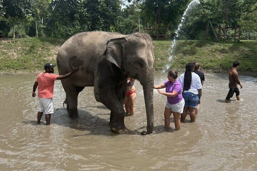 Erawan National Park and Elephant Care Experience in Kanchanaburi