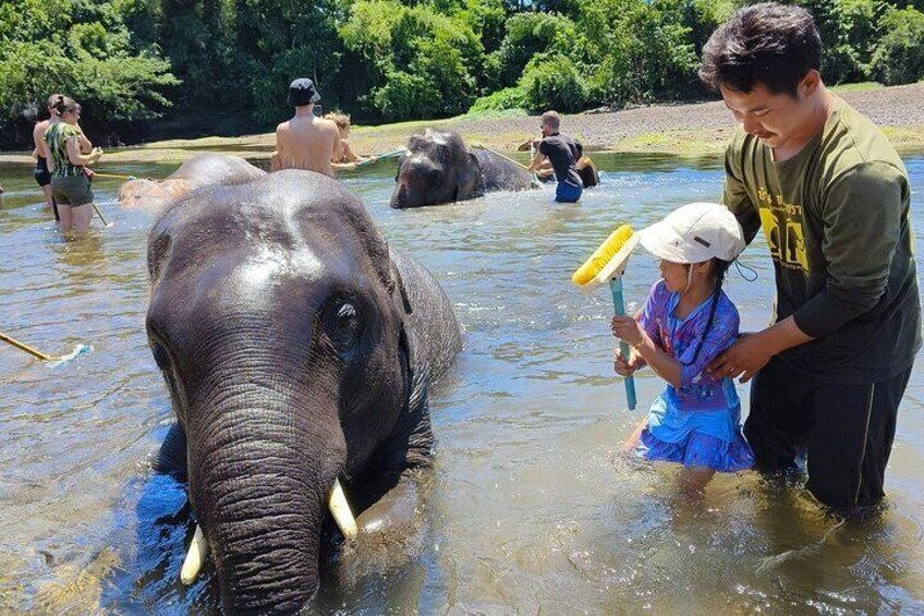 Erawan National Park and Elephant Care Experience in Kanchanaburi