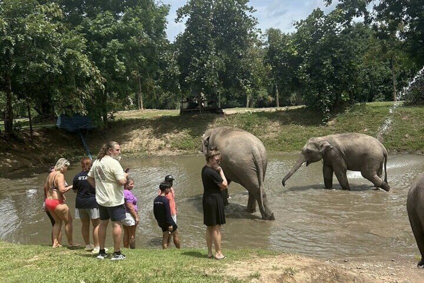 Erawan National Park and Elephant Care Experience in Kanchanaburi