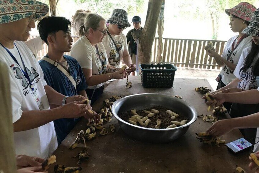 Erawan National Park and Elephant Care Experience in Kanchanaburi