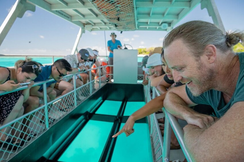 Discover the wonders of the Great Barrier Reef and Lady Musgrave Island