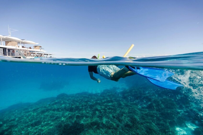 Discover the wonders of the Great Barrier Reef and Lady Musgrave Island