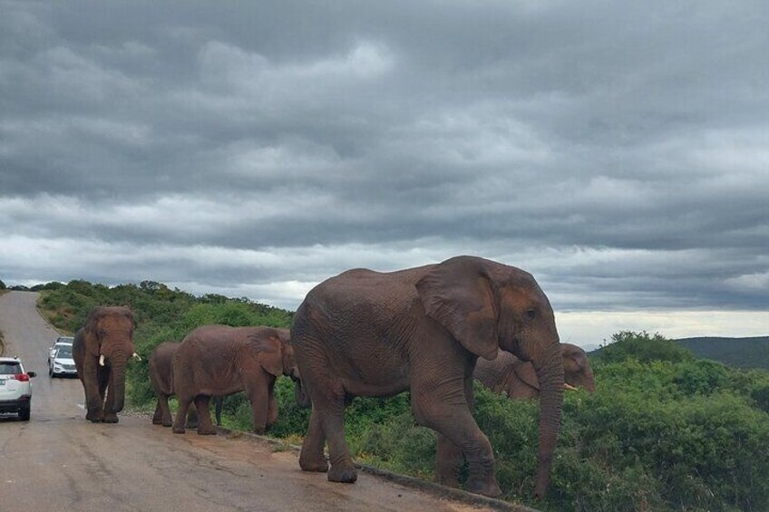 3 Day Private Garden Route Tour from Cape Town