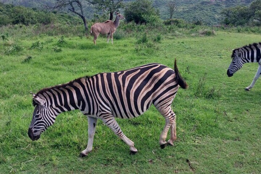 3 Day Private Garden Route Tour from Cape Town