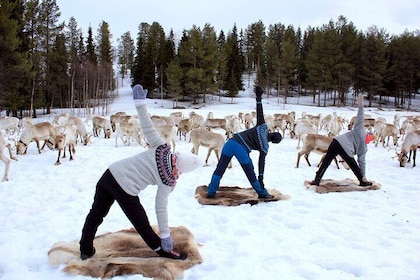 Reindeer yoga