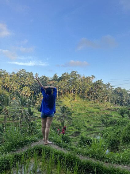 Bali: Ubud Sightseeing, Holy Water Temple & Waterfall Ticket