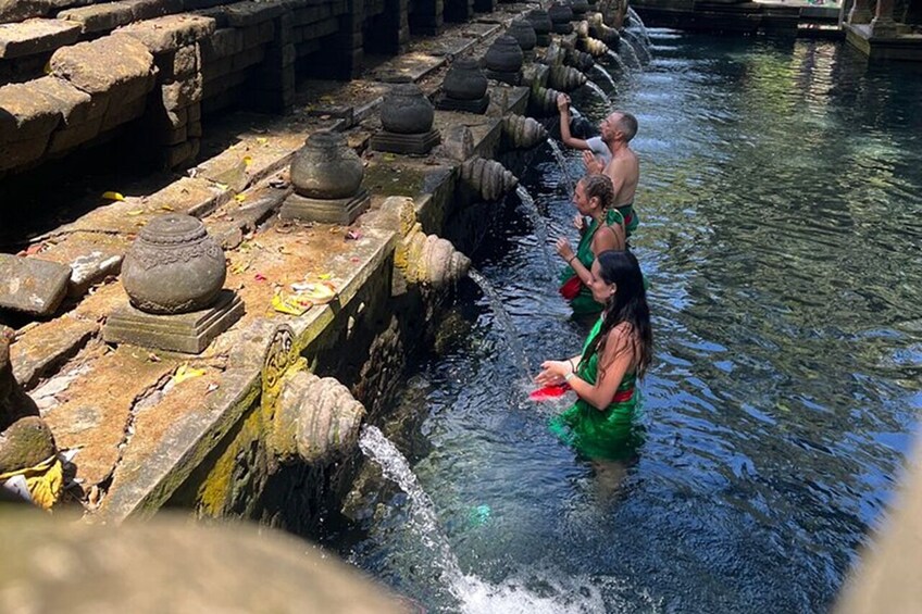 Bali: Private Tours Ubud Highlight Holy Water Temple Ticket