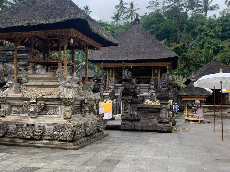 Bali: Private Tours Ubud Highlight Holy Water Temple Ticket