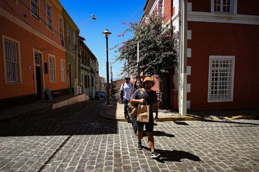 From Santiago, visit Valparaíso and Viña del Mar in small groups.