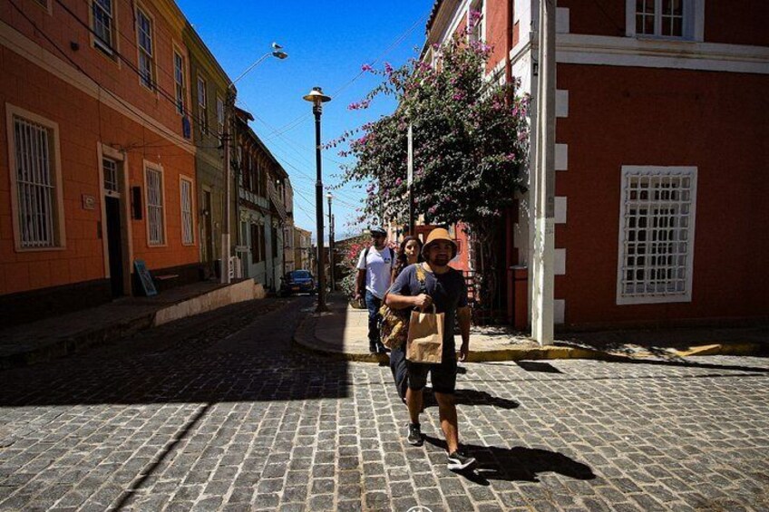 From Santiago, visit Valparaíso and Viña del Mar in small groups.