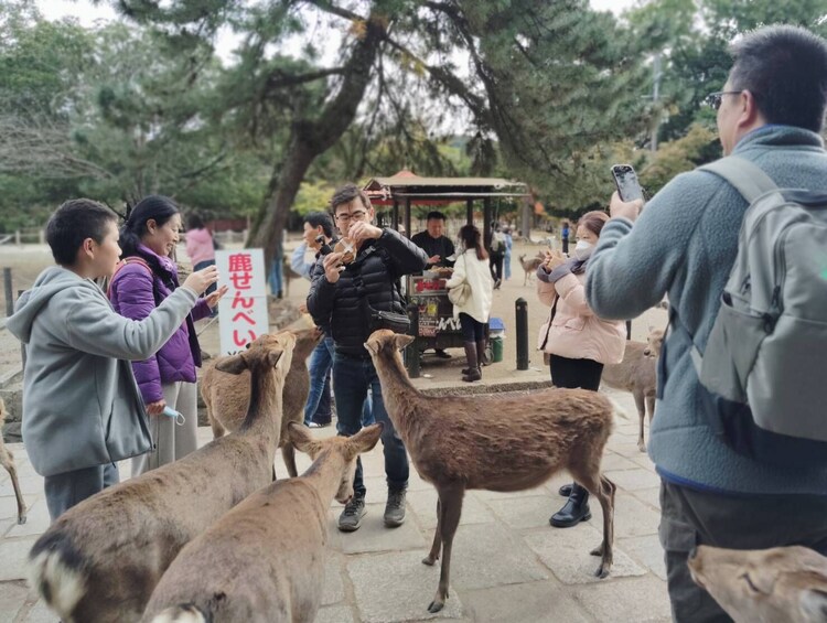 From Osaka/Kyoto: Kyoto & Nara Day Trip with Japanese Lunch