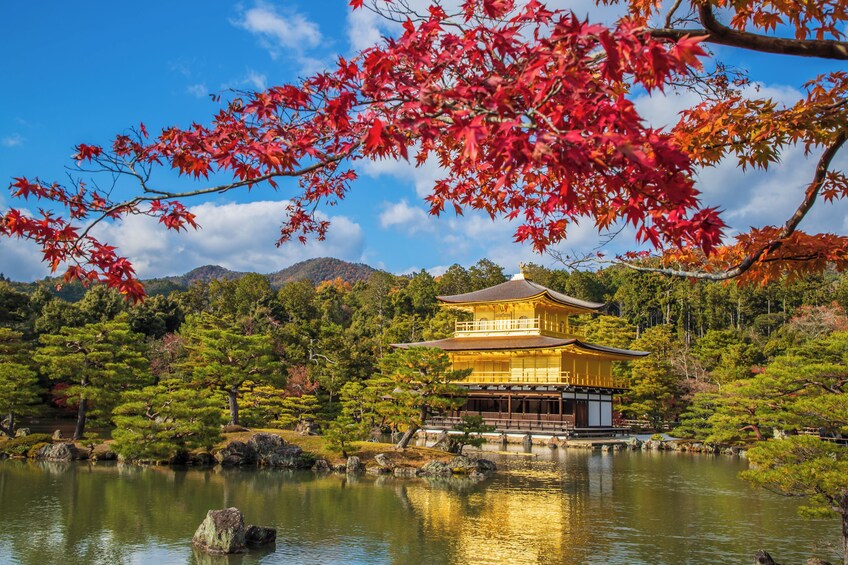 From Osaka/Kyoto: Kinkaku-ji, Fushimi Inari & Nara Bus Tour