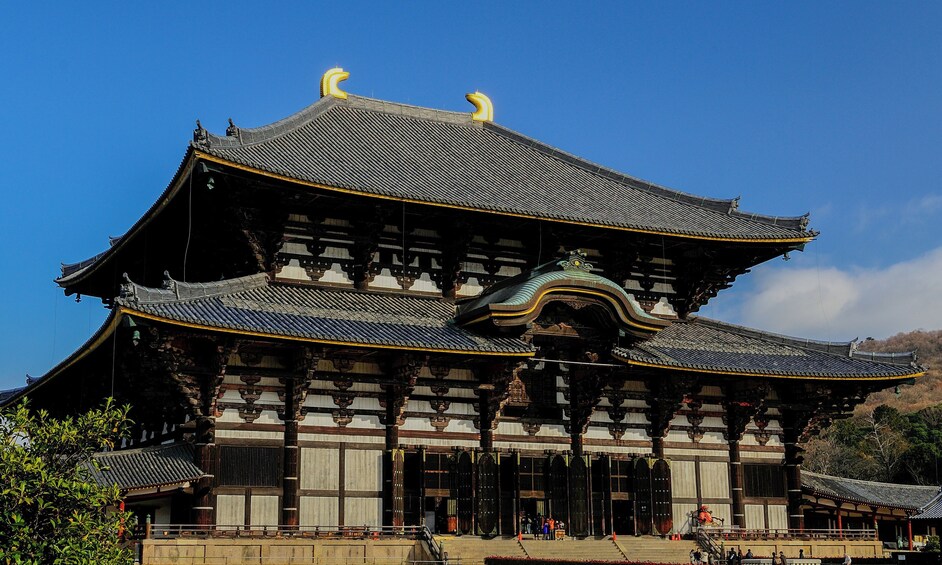 From Osaka/Kyoto: Kinkaku-ji, Fushimi Inari & Nara Bus Tour