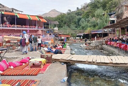 Private Day Trip to Ourika Valley