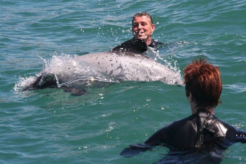 Kaikoura Dolphin Encounter Luxury Small Group Tour