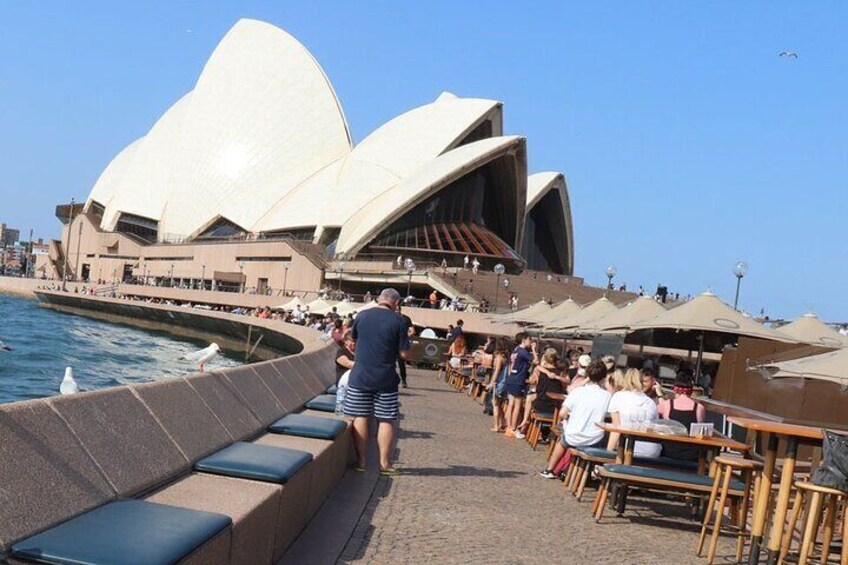 Private Luxury Half Day Sydney City Tour