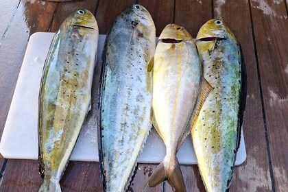 Fishing in Larnaca Bay with Open Bar