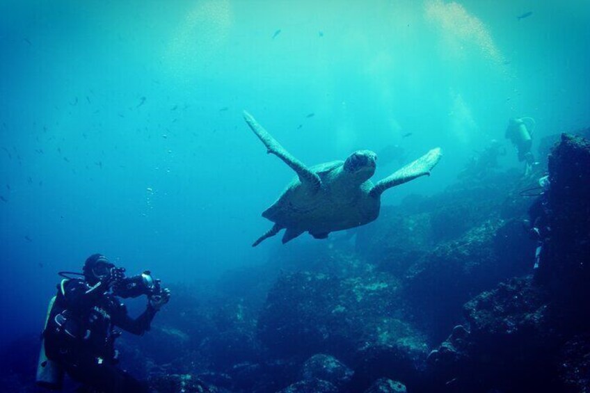 Santa Fe Island Snorkel Trip with Sea Lion Experience
