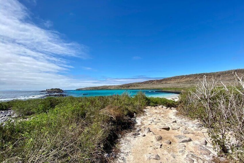 Santa Fe Island Snorkel Trip with Sea Lion Experience