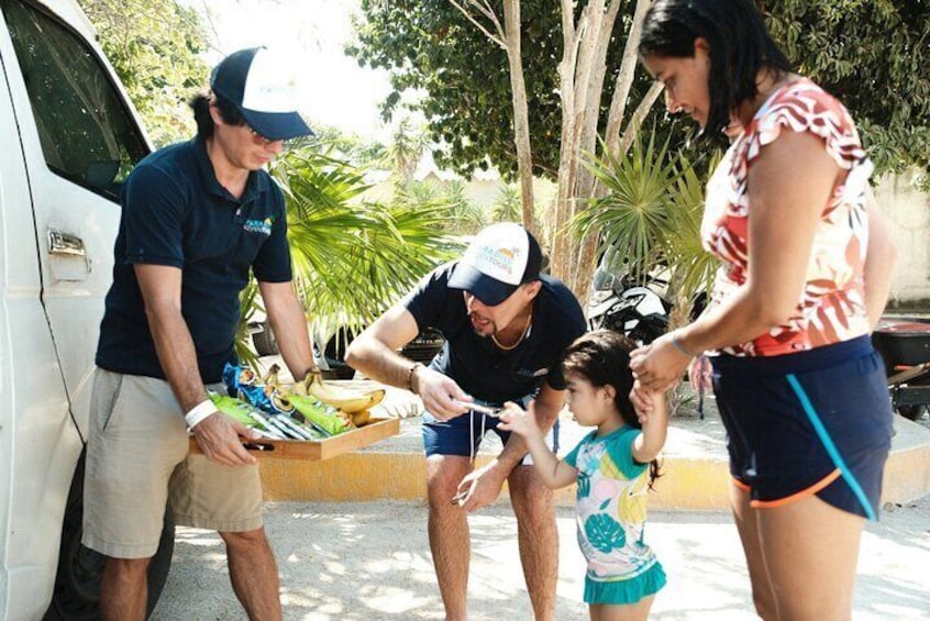 Private Half-day Luxury Experience with Turtles & Majestic Cenote