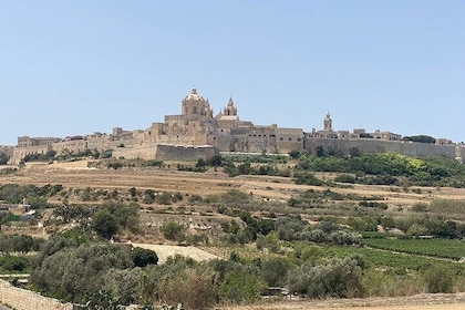 Taste Of Malta With Traditional Lunch Tour