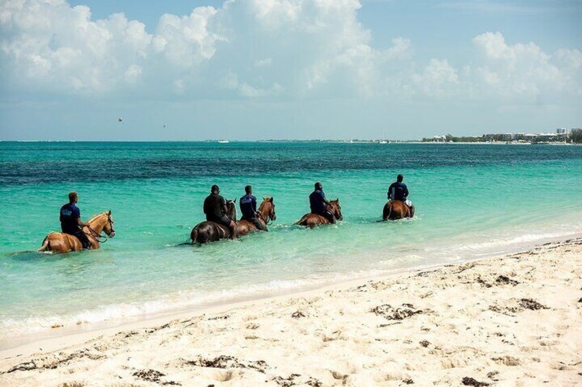 Group Beach and Ocean Horseback Adventure in Providenciales