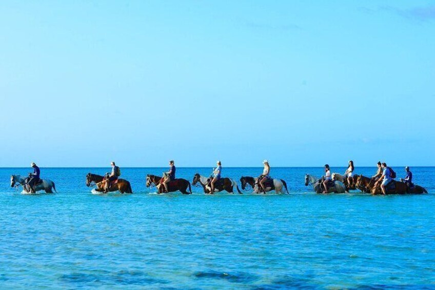 Group Beach and Ocean Horseback Adventure in Providenciales