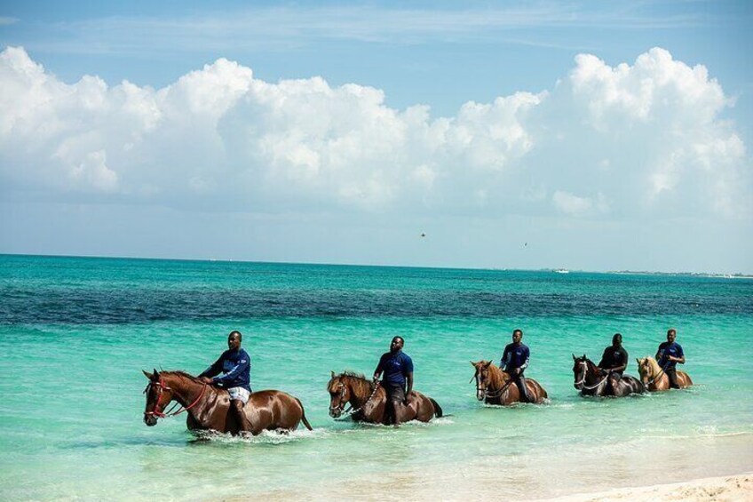 Group Beach and Ocean Horseback Adventure in Providenciales