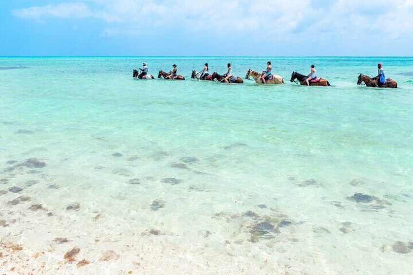 Group Beach and Ocean Horseback Adventure in Providenciales