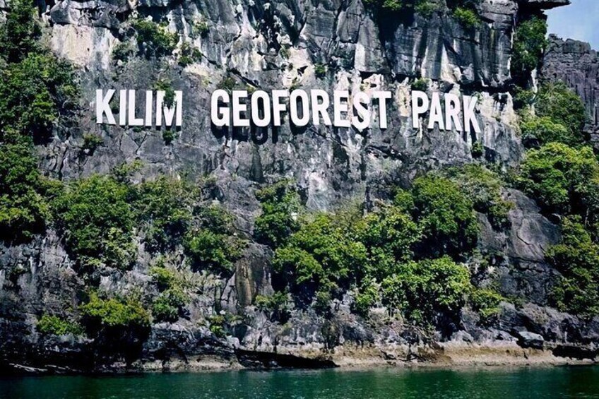 Private Langkawi Mangrove Forest Boat Tour Tg Rhu with Lunch