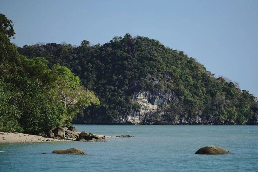 Private Langkawi Mangrove Forest Boat Tour Tg Rhu with Lunch