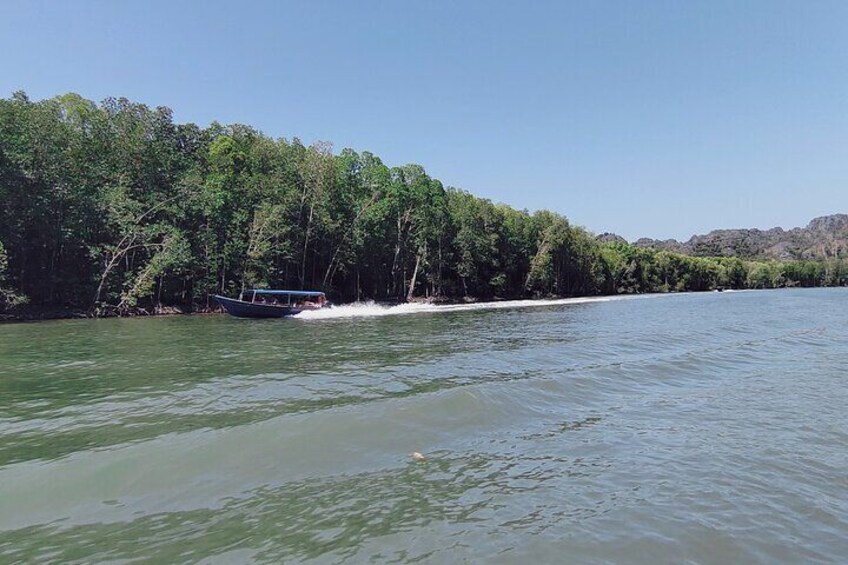 Private Langkawi Mangrove Forest Boat Tour Tg Rhu with Lunch 