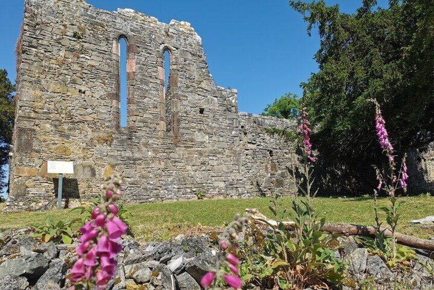 Lakes of Killarney and Innisfallen Island Tour