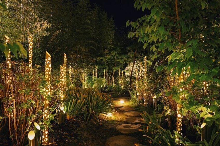 Princess Kaguya's Glowing Garden Pass in Sakuramachi Kumamoto