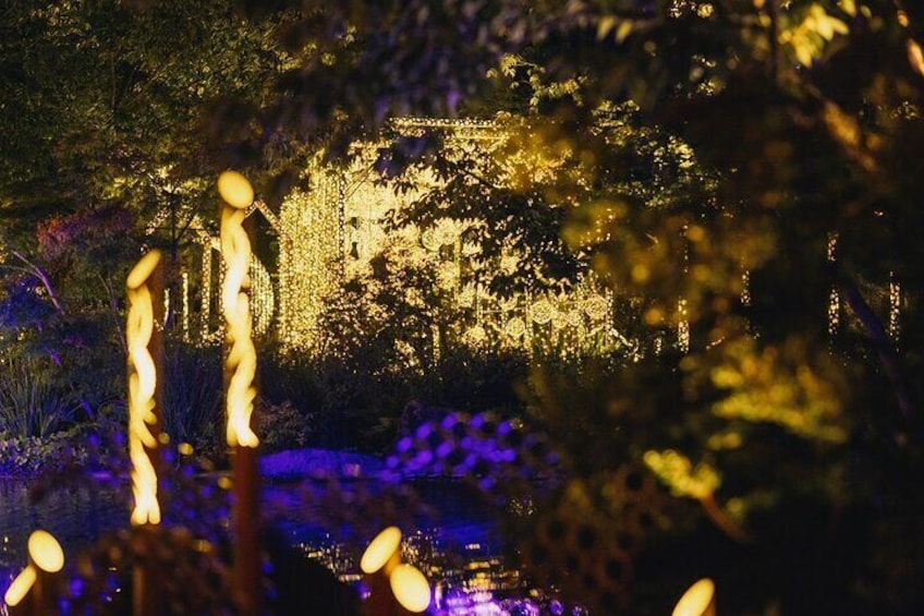 Princess Kaguya's Glowing Garden Pass in Sakuramachi Kumamoto