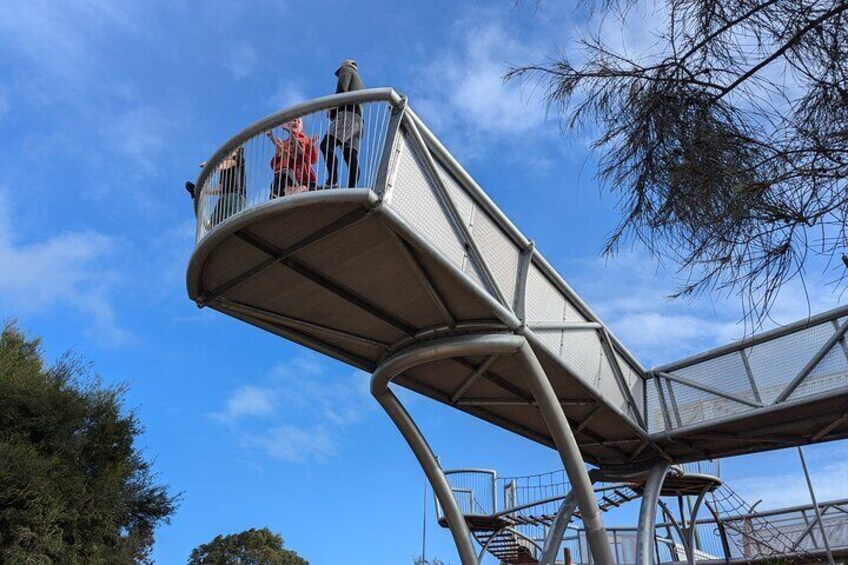 the platform overlooking the mangroves is one of the first stops