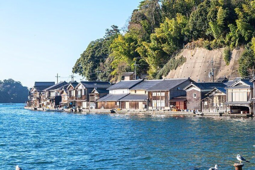 Kyoto's coast Amanohashidate and Ine Boathouse Full-Day Tour