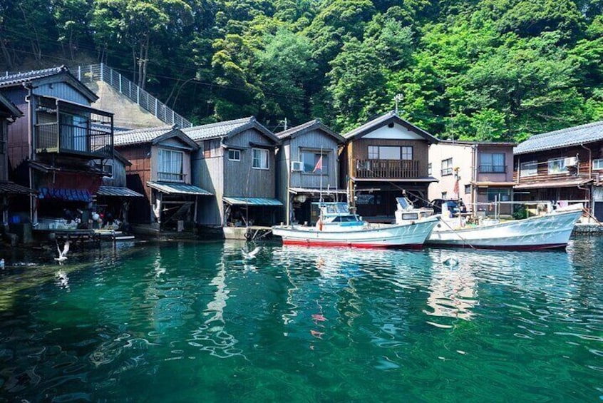 Kyoto's coast Amanohashidate and Ine Boathouse Full-Day Tour