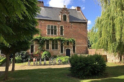 Shared Guided Walking Tour in Leuven