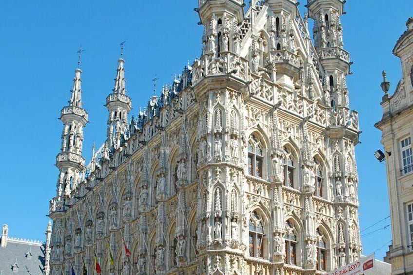 Shared Guided Walking Tour in Leuven 