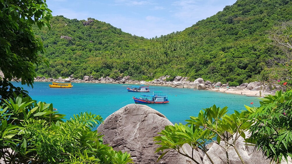 Koh Tao Late Risers Island Hopping Tour with Sunset