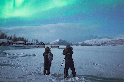 Aurora Tour with Dinner in Abisko